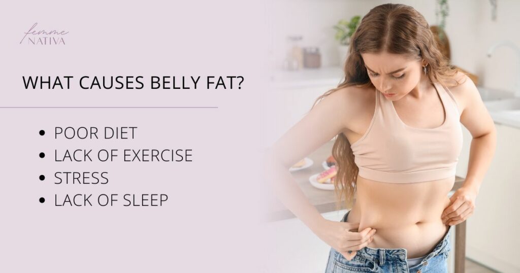 what causes belly fat?