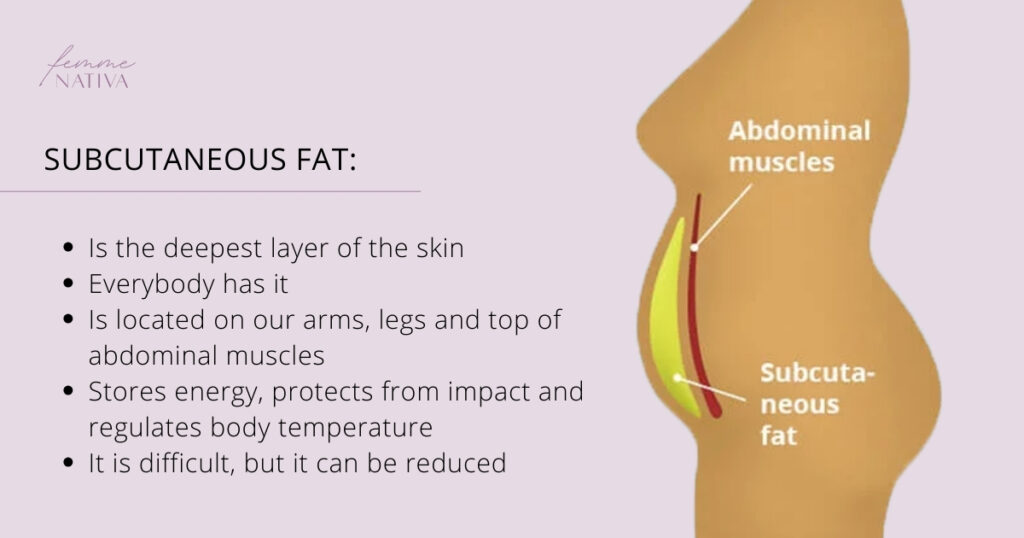 what is subcutaneous fat