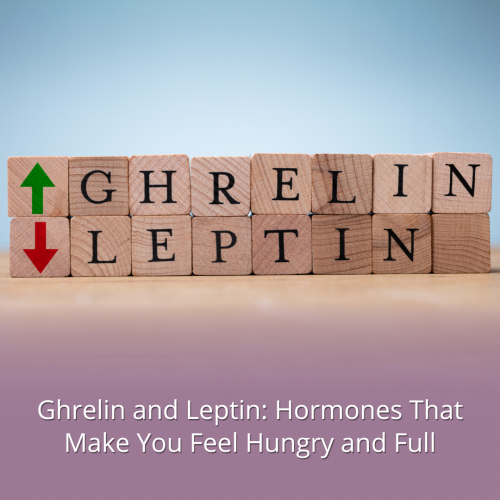 Ghrelin and Leptin: Hormones That Make You Feel Hungry and Full